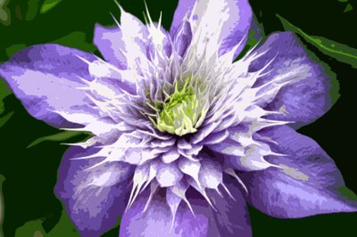 Ocean Bloom by Sarah OToole
